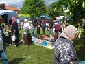 Vide Grenier 016